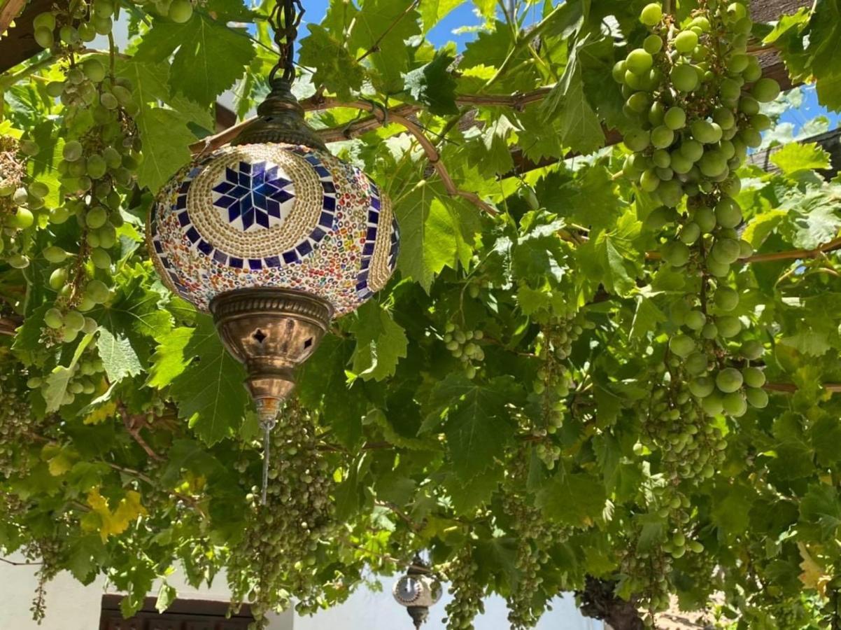 Oria B&B Los Lujos מראה חיצוני תמונה